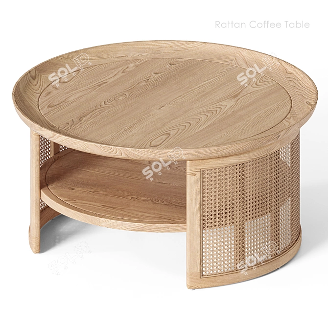 Rattan Base 2-Tier Coffee Table 3D model image 5