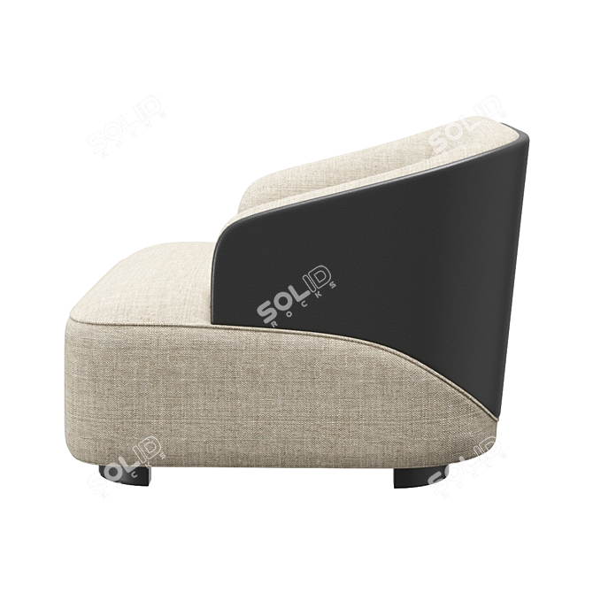 Luxury Rubelli Velour Armchair 3D 3D model image 3