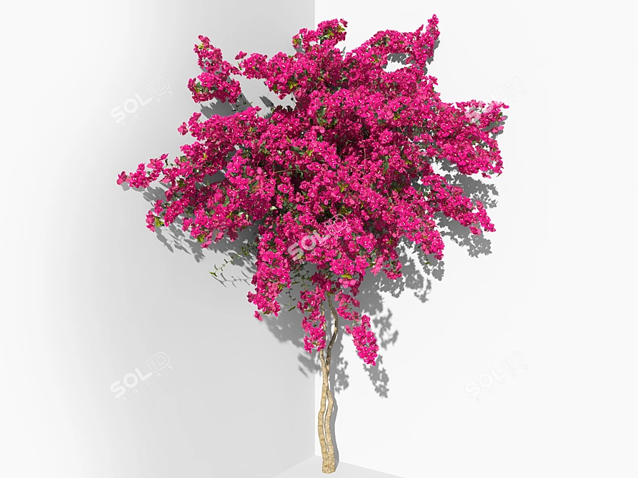 Bougainvillea Decorative Shrubs Kit 3D model image 1