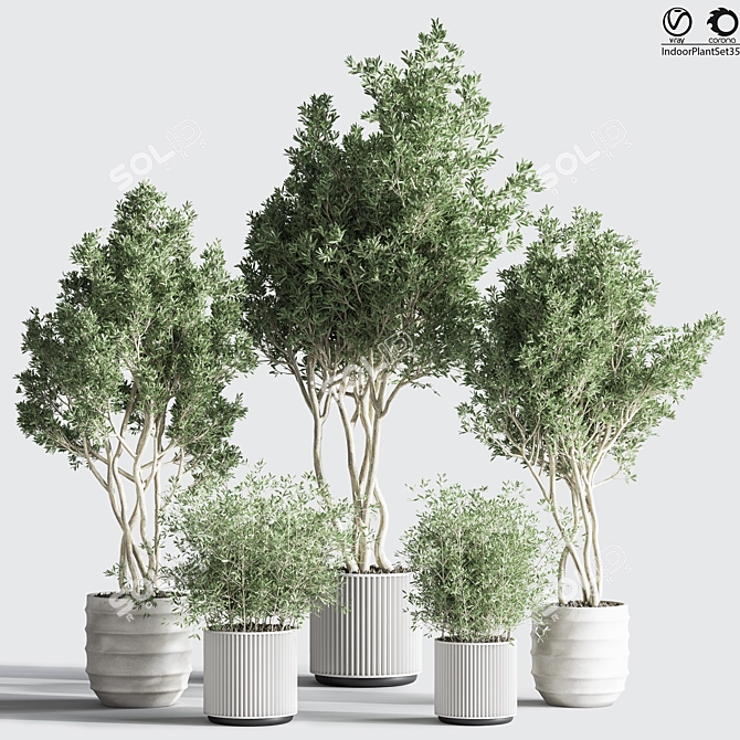 Botanical Modern Indoor Plant Set 3D model image 1