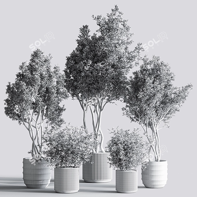 Botanical Modern Indoor Plant Set 3D model image 7