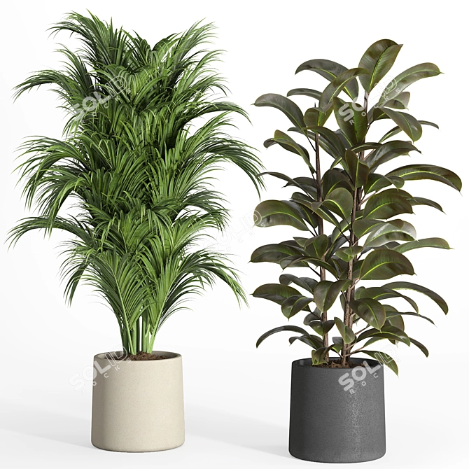 Modern Urban Indoor Plant Set 3D model image 2