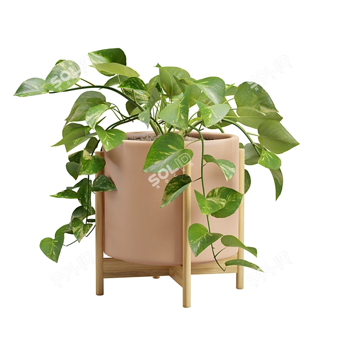 Silvery Pothos Plant Vines Render 3D model image 6