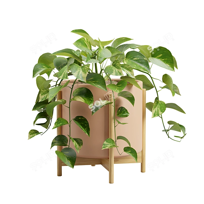 Silvery Pothos Plant Vines Render 3D model image 7