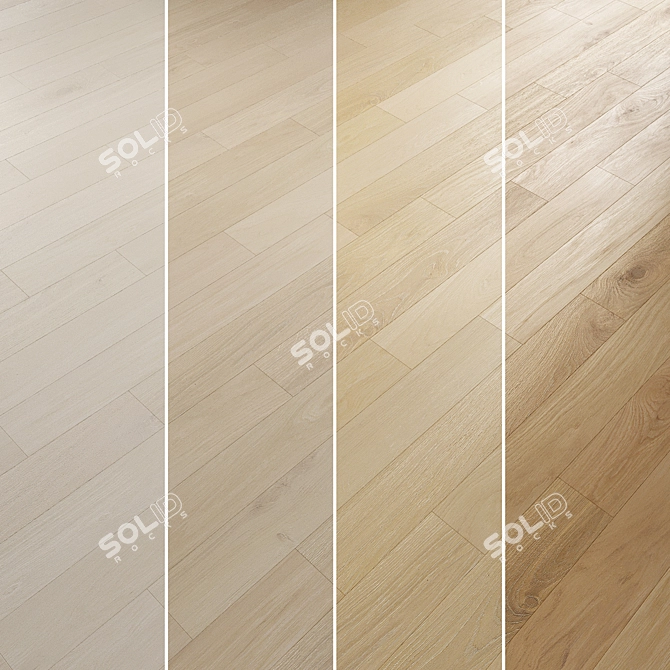 Oak Parquet Flooring Collection 3D model image 2