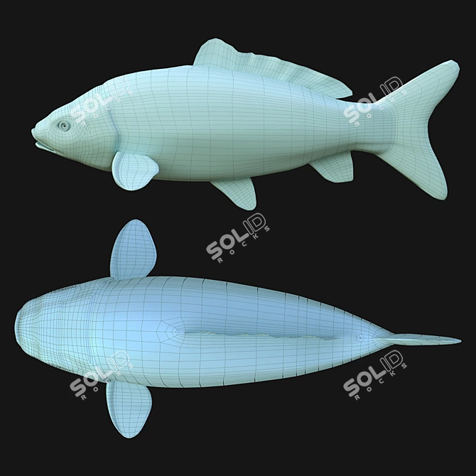 3DSmax Rigged Koi Fish 3D model image 5