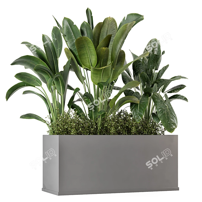 Concrete Potted Outdoor Plants Set 3D model image 1