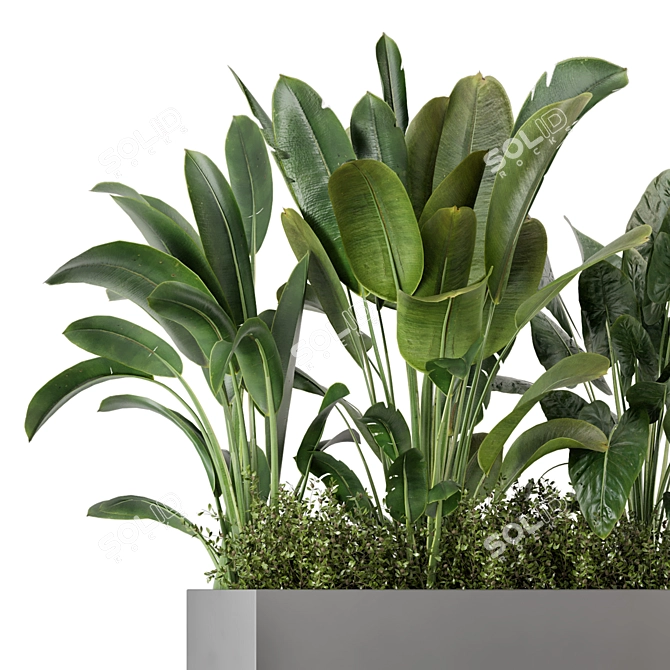 Concrete Potted Outdoor Plants Set 3D model image 2