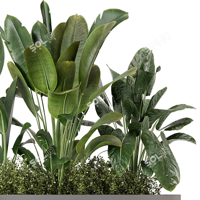 Concrete Potted Outdoor Plants Set 3D model image 3