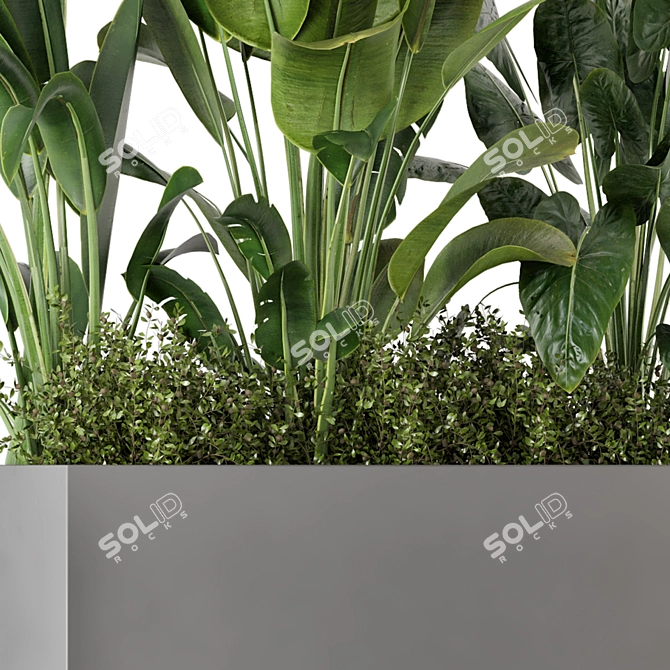 Concrete Potted Outdoor Plants Set 3D model image 4