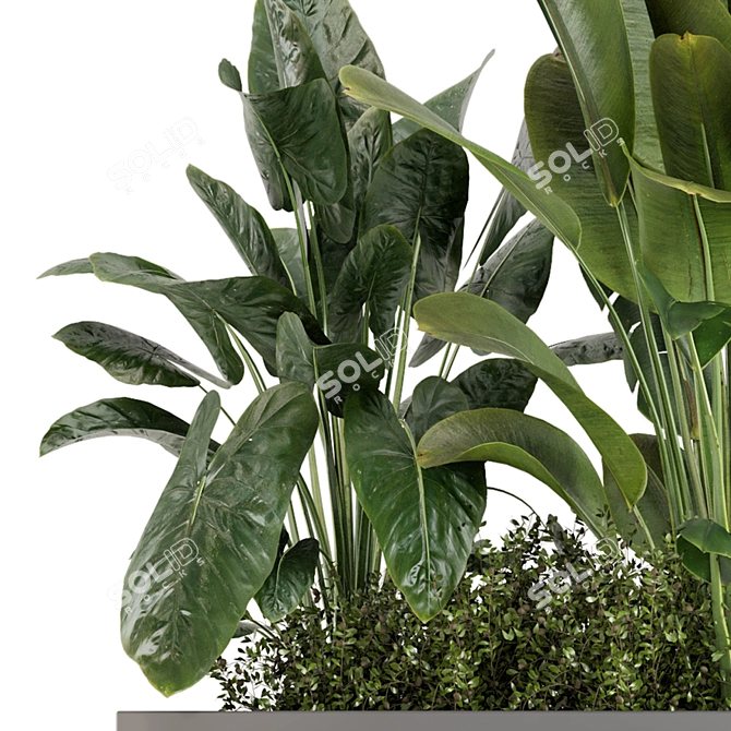 Concrete Potted Outdoor Plants Set 3D model image 5