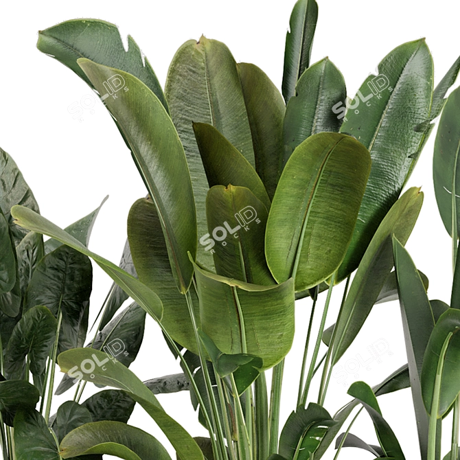 Concrete Potted Outdoor Plants Set 3D model image 6