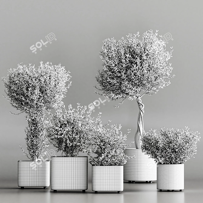 Modern Indoor Plant Collection Set 3D model image 4