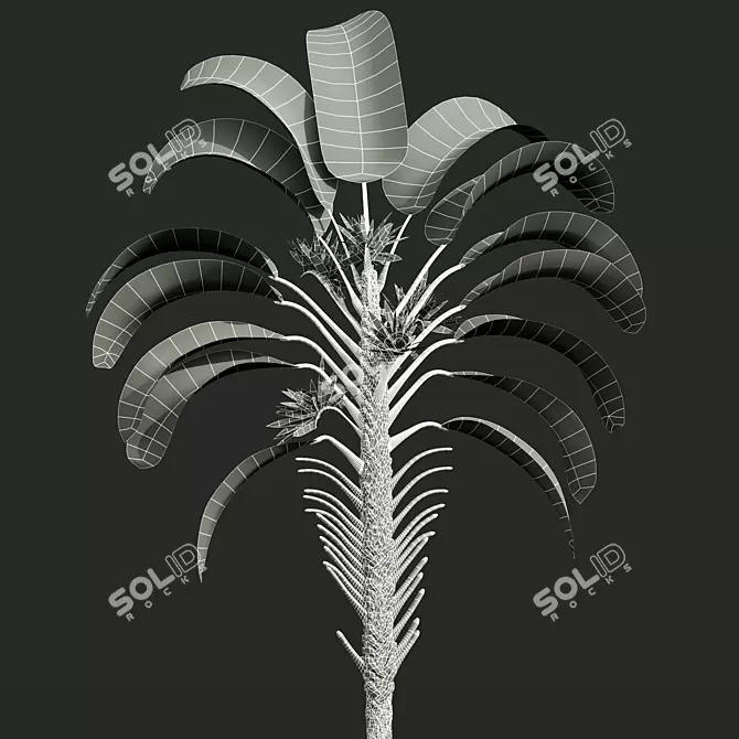 Giant White Bird of Paradise 3D model image 6