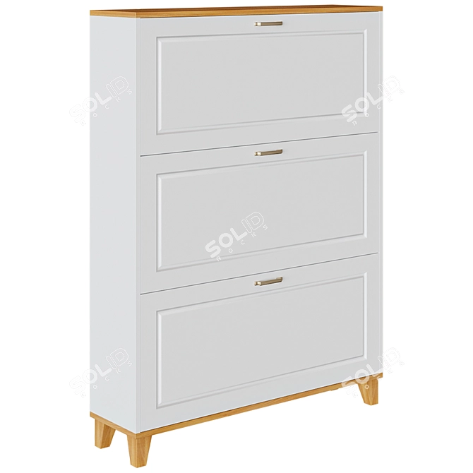 Willa Arlo Shoe Storage Cabinet 3D model image 1