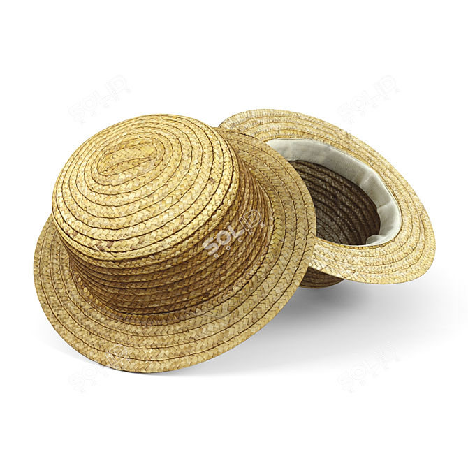 Straw Hat 3D model image 1