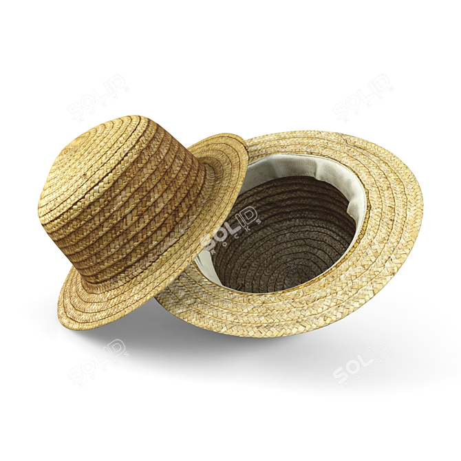 Straw Hat 3D model image 2