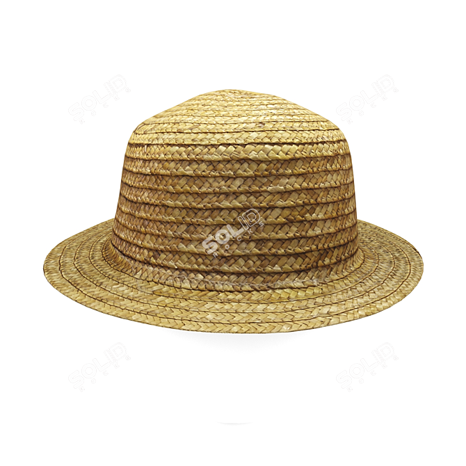 Straw Hat 3D model image 3