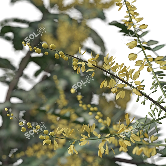 Mahonia Media Plant Pair-Enlivens Gardens 3D model image 4