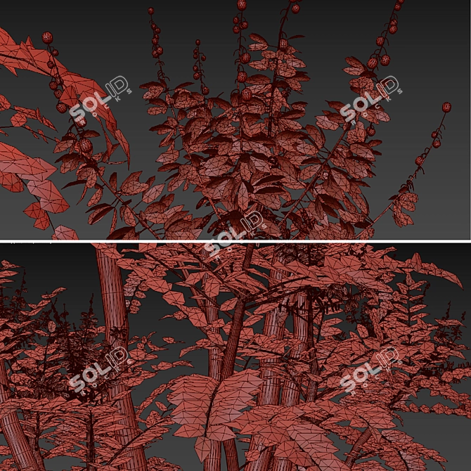 Mahonia Media Plant Pair-Enlivens Gardens 3D model image 6