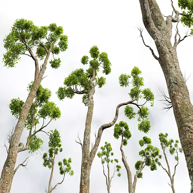 Title: Camphor Tree 3D Decor Model 3D model image 4