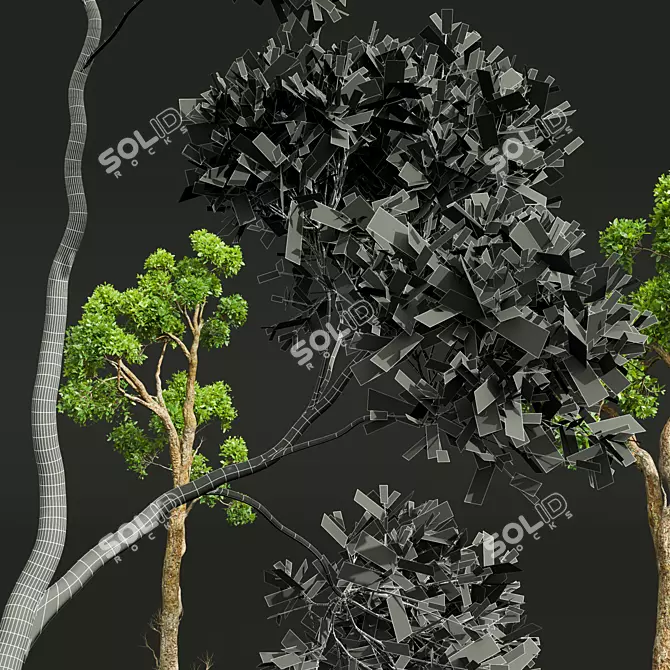 Title: Camphor Tree 3D Decor Model 3D model image 5