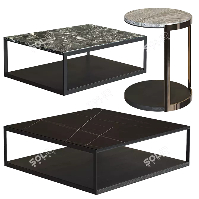 Alisee Molteni Coffee Tables Set 3D model image 7