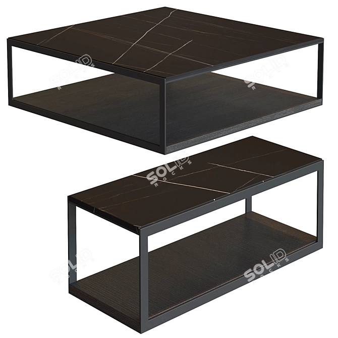 Alisee Molteni Coffee Tables Set 3D model image 10