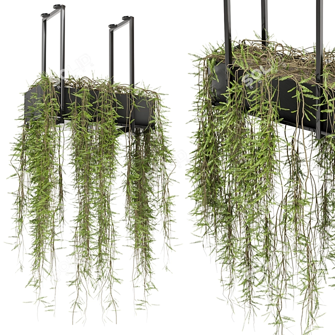 Metal Box Hanging Plants Set 3D model image 1