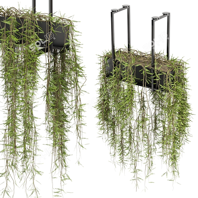 Metal Box Hanging Plants Set 3D model image 2
