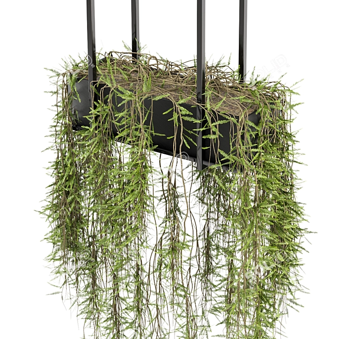 Metal Box Hanging Plants Set 3D model image 3
