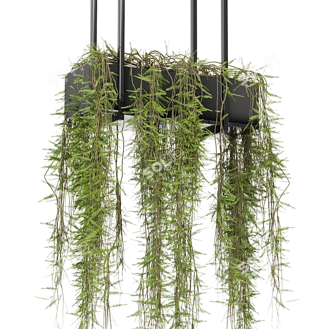 Metal Box Hanging Plants Set 3D model image 4