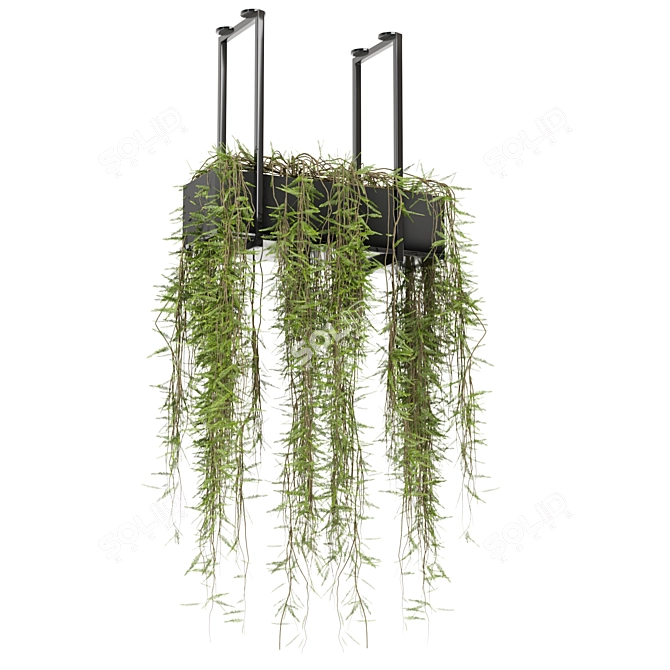 Metal Box Hanging Plants Set 3D model image 5