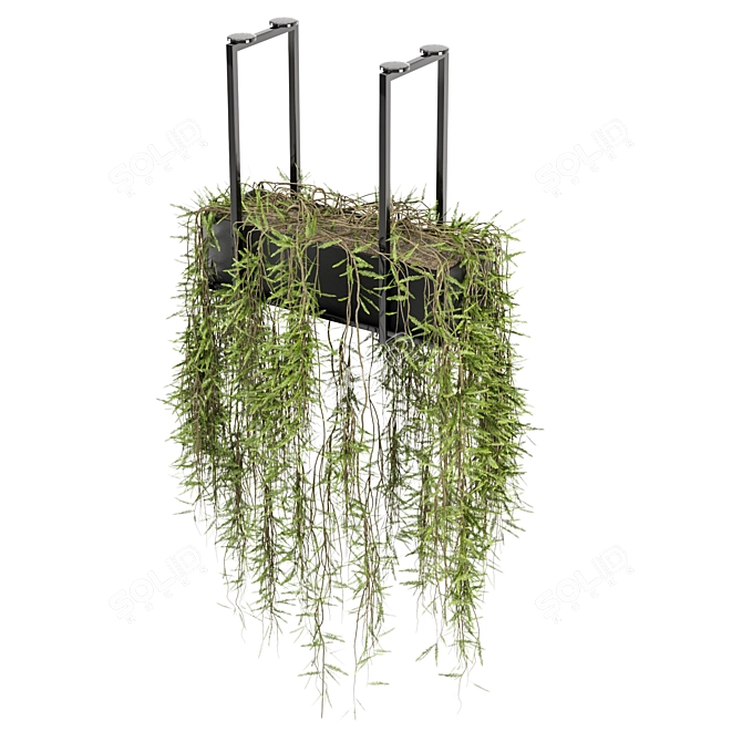 Metal Box Hanging Plants Set 3D model image 6