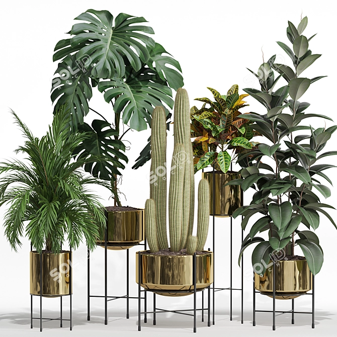 Botanic Marvel 747 Collection 3D model image 1