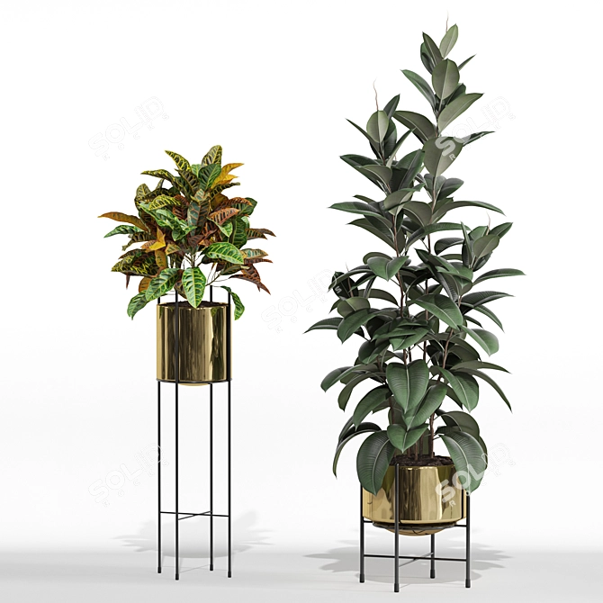 Botanic Marvel 747 Collection 3D model image 3