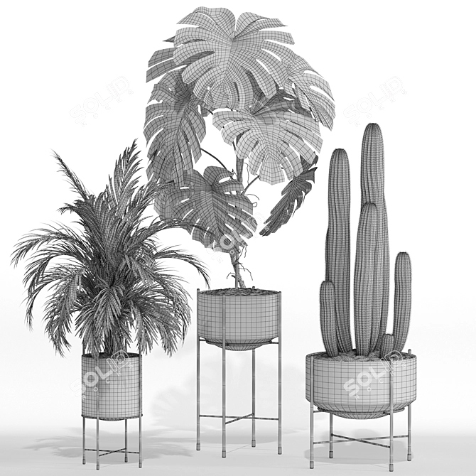 Botanic Marvel 747 Collection 3D model image 4