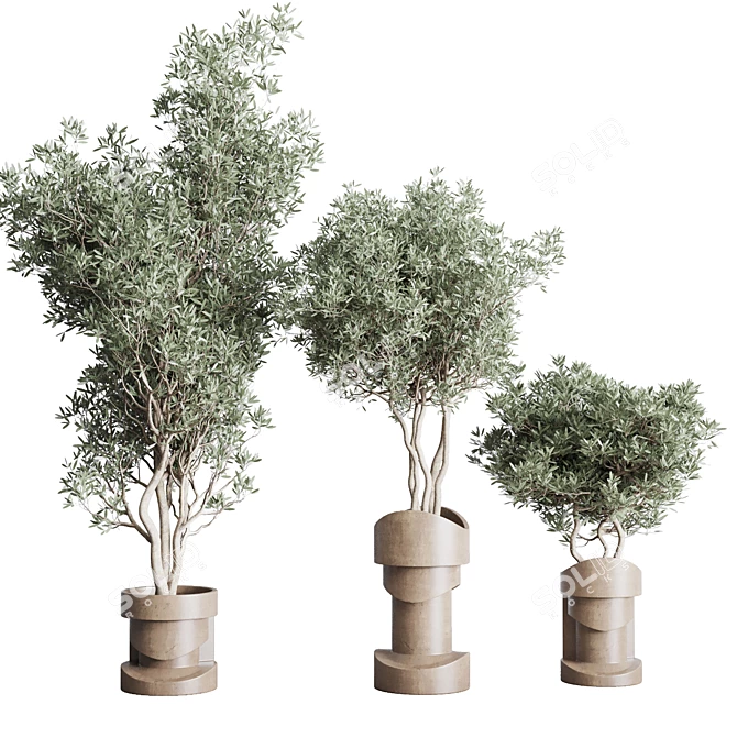  Concrete Vase Indoor Plant Collection 3D model image 2