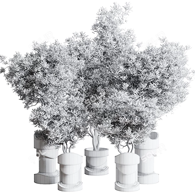  Concrete Vase Indoor Plant Collection 3D model image 6