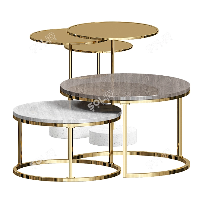 Modern Nesting Coffee Table Set 3D model image 1