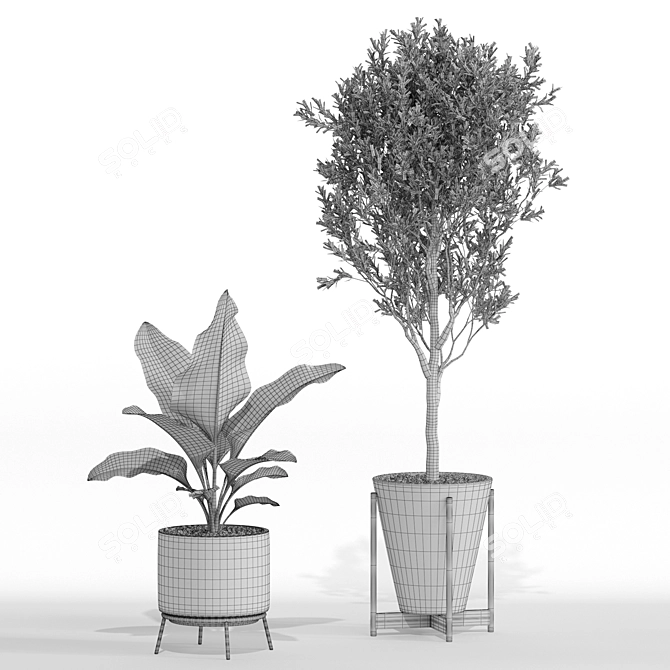 Greenery Assortment 748 3D model image 5