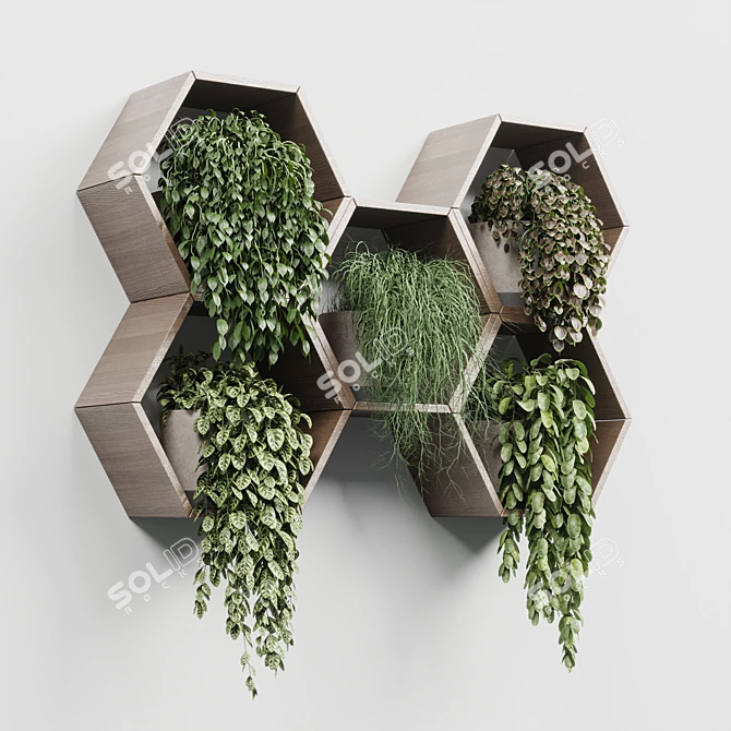 Hexagon Wall Plant Set 3D model image 1