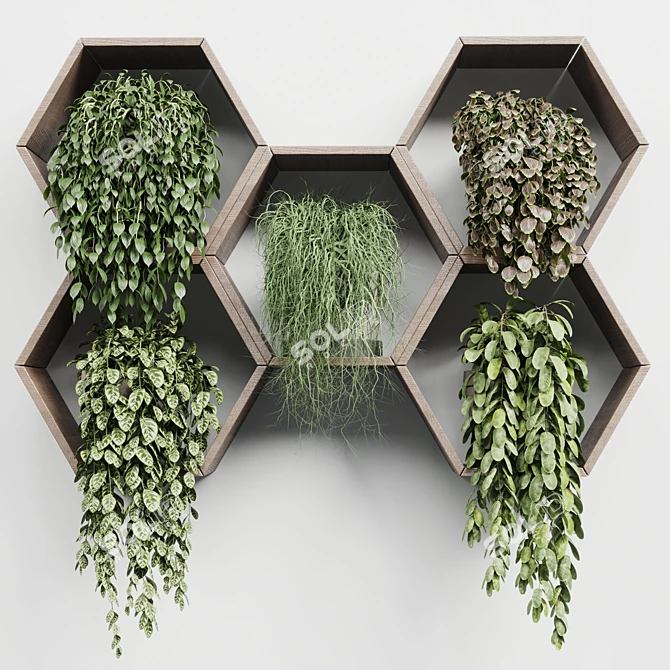 Hexagon Wall Plant Set 3D model image 2