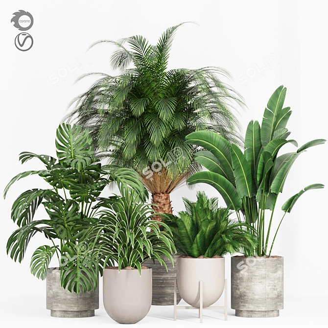 Tropical Plants 3D Models Set 3D model image 1