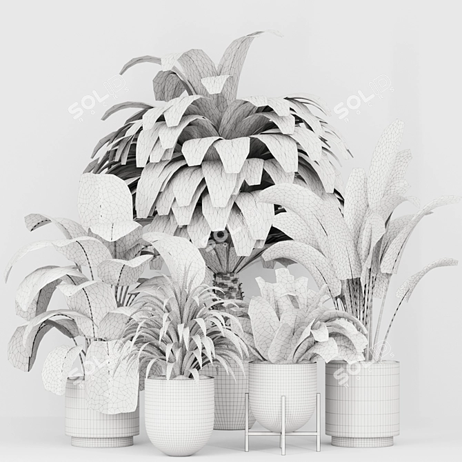 Tropical Plants 3D Models Set 3D model image 4