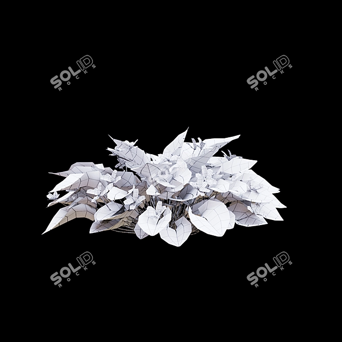 Fragrant Viola Bushes Bundle 3D model image 4