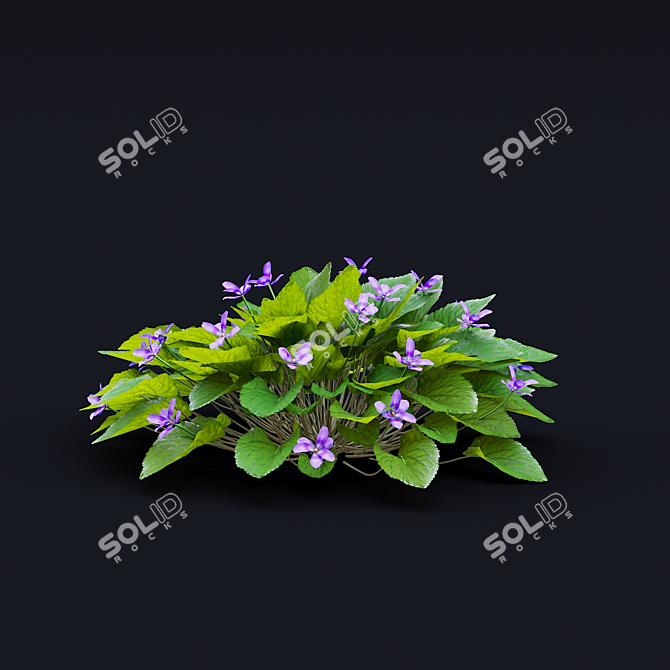 Fragrant Viola Bushes Bundle 3D model image 7