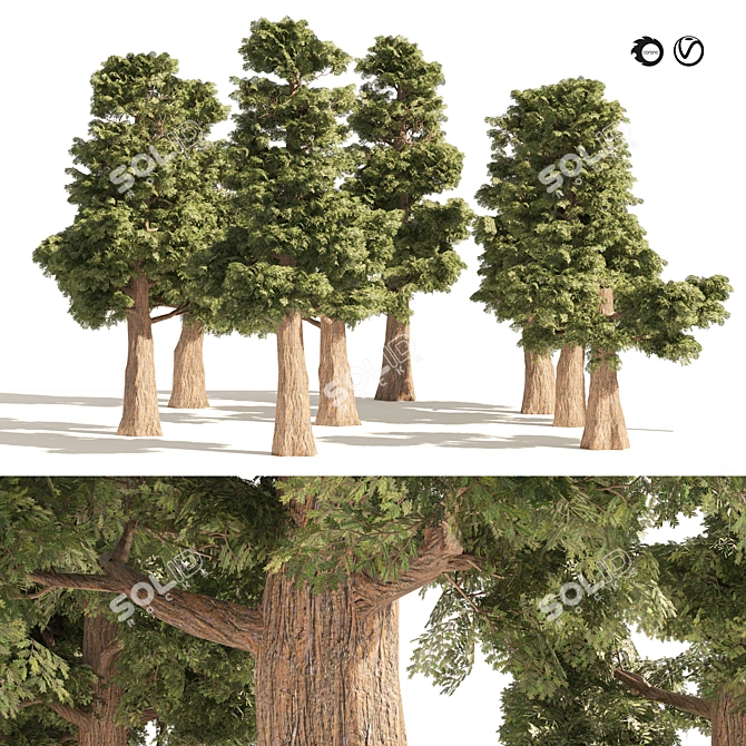 Mini Redwoods Cluster 3D Model 3D model image 1