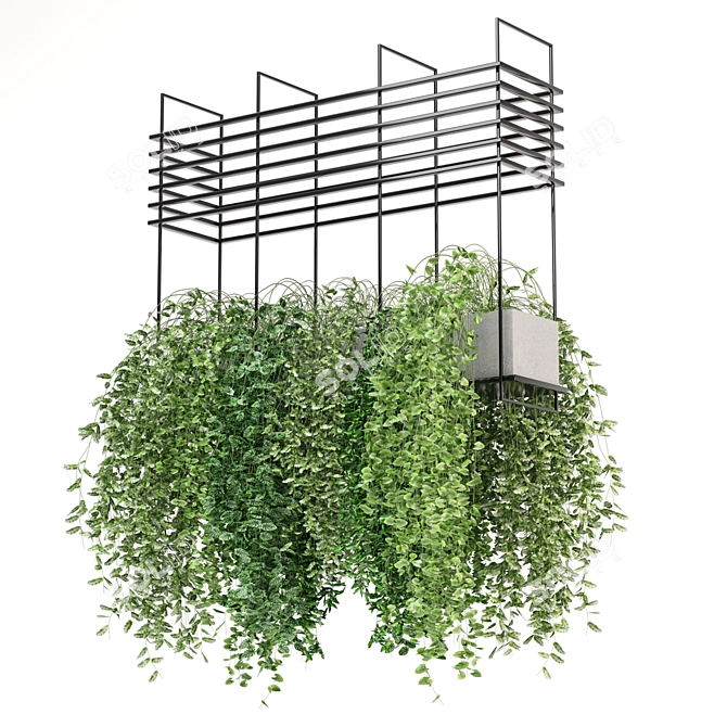  Modern Hanging Plant Set 460 3D model image 1