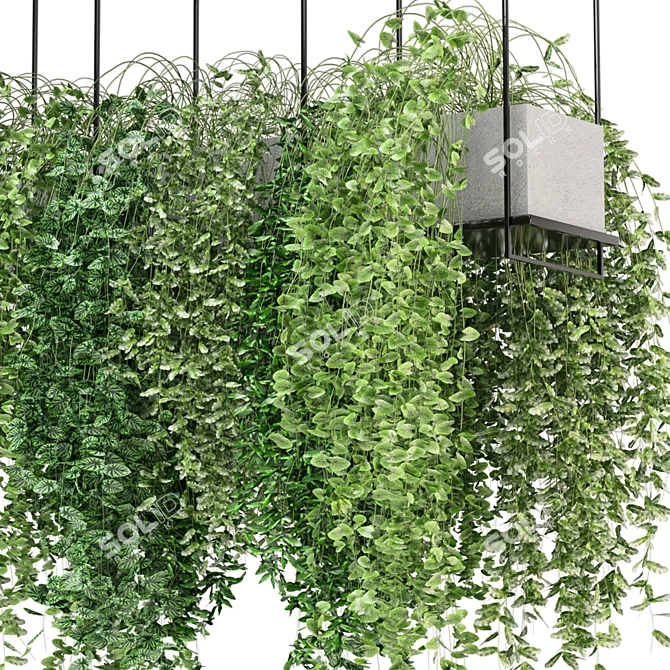  Modern Hanging Plant Set 460 3D model image 2